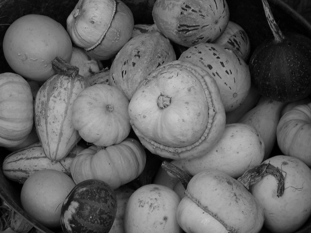 Gourds.jpg